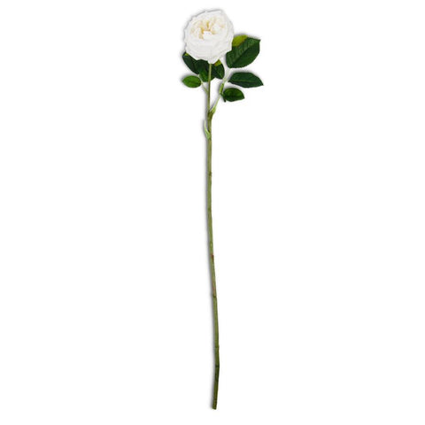 24 Inch White Real Touch Austin Rose Stem