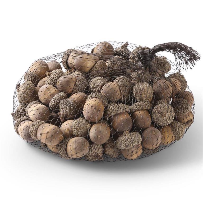 Bag of 75 Cream Wood Acorns