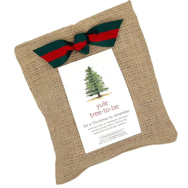 Christmas Tree To Be