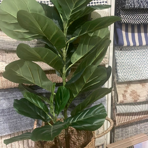 Faux Fiddle Leaf Plant