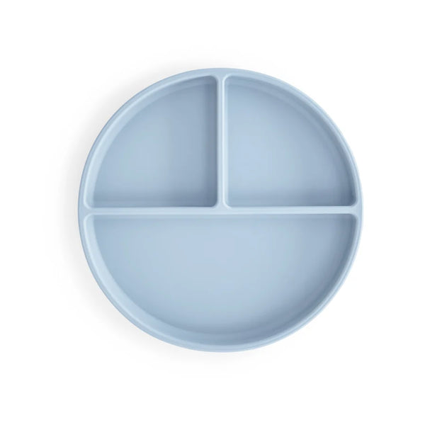 Silicone Suction Plate