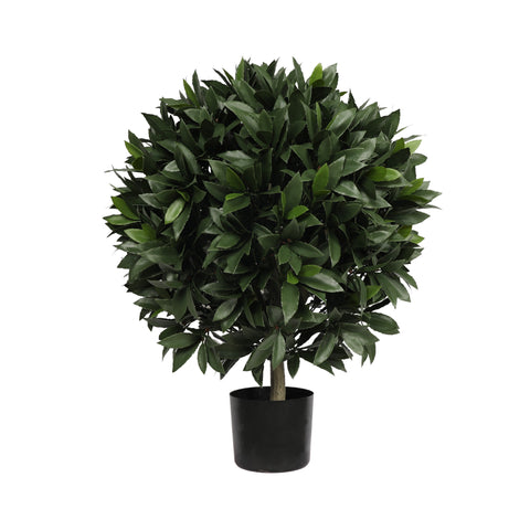 UV Bay Laurel Ball 24 Inch Topiary