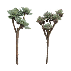 Faux Succulent Branch, 2 Styles