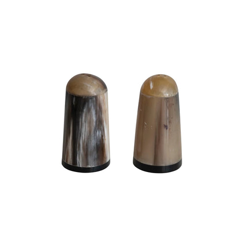 Horn Salt Shakers, Set of 2