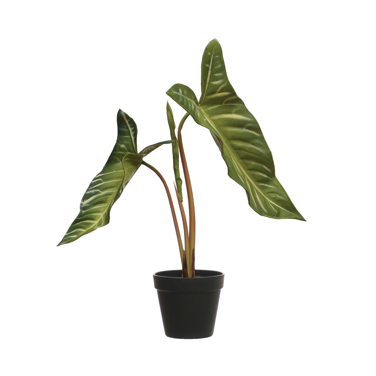 Faux Elephant Ear Plant Black Pot