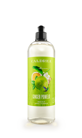 Ginger Pomelo Dish Soap
