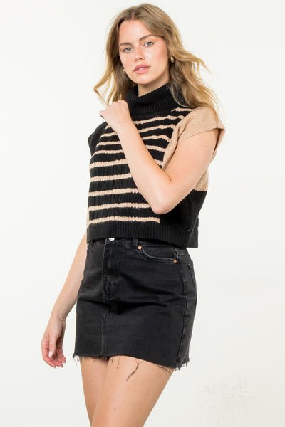 Turtleneck Striped Knit Top